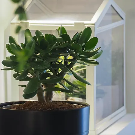 Appartamento Maison Monteverdi